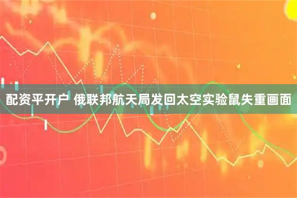 配资平开户 俄联邦航天局发回太空实验鼠失重画面