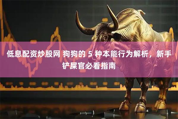 低息配资炒股网 狗狗的 5 种本能行为解析，新手铲屎官必看指南